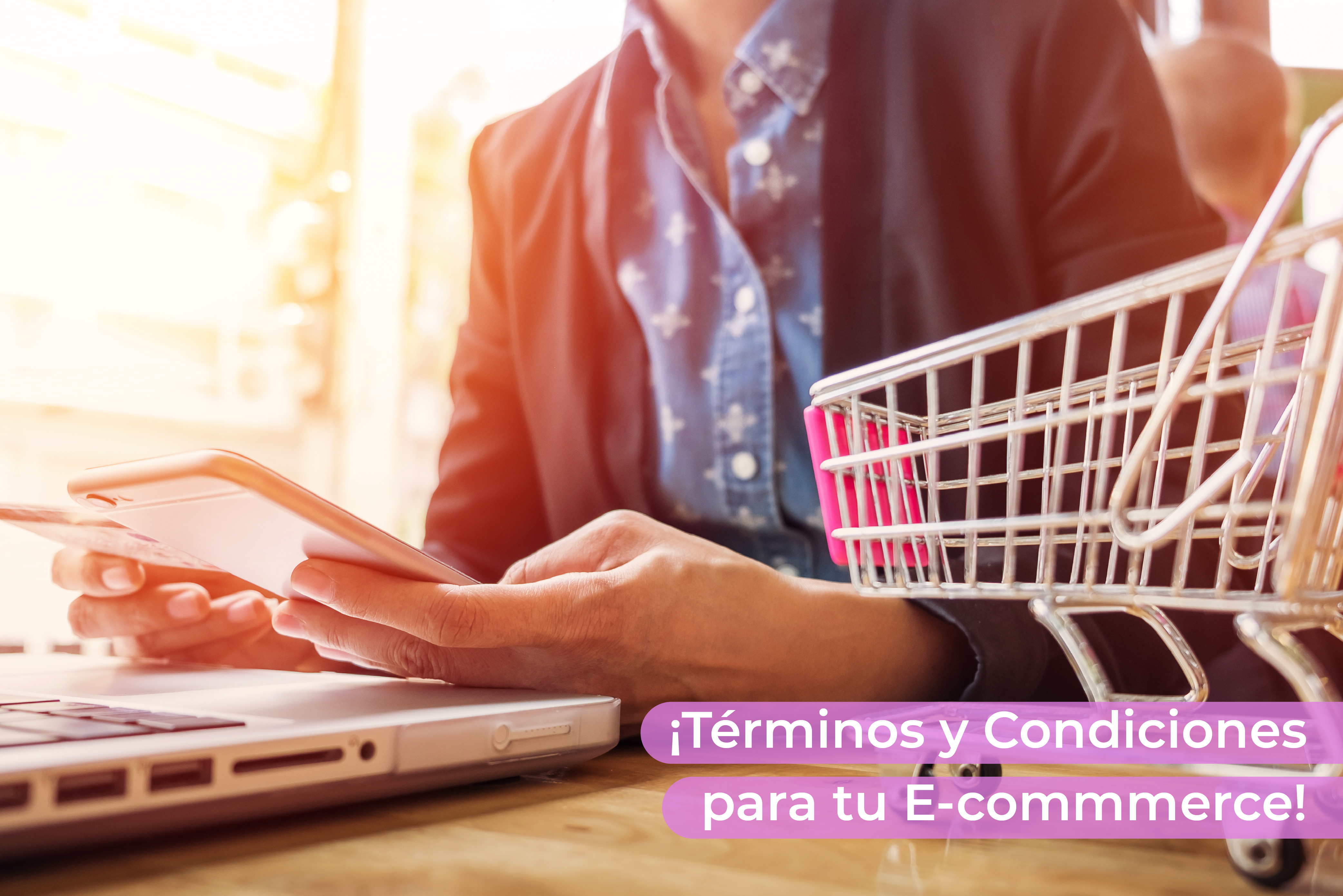 Términos y condiciones para E-commerce